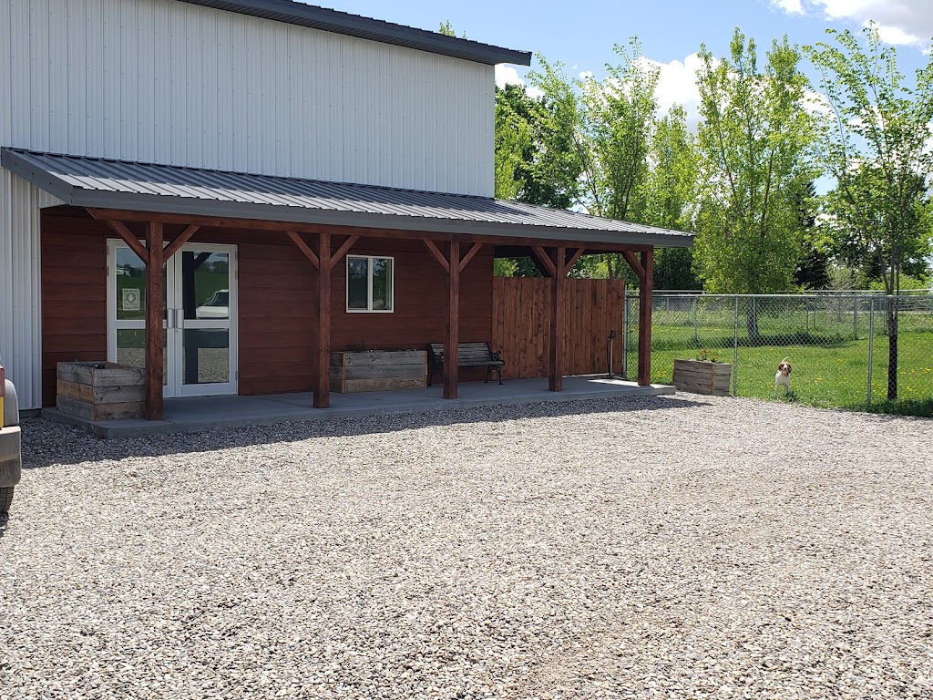 Pets Unleashed | 94025 Range Rd 221, Coalhurst, AB T0K 0T0, Canada | Phone: (403) 327-3979