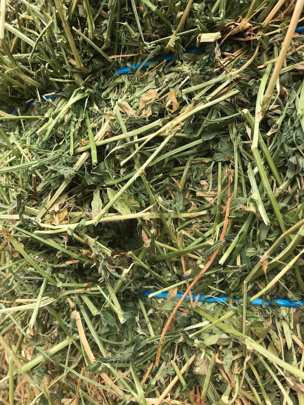 TNT Hay Sales | 40303 No 4 Rd, Abbotsford, BC V3G 2S2, Canada | Phone: (888) 802-3269