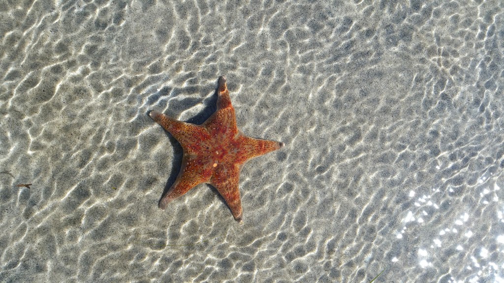 Sandcastle at South Beach | Savary Island, 3090 Ocean View Ln, Lund, BC V0N 2G0, Canada | Phone: (403) 703-5977