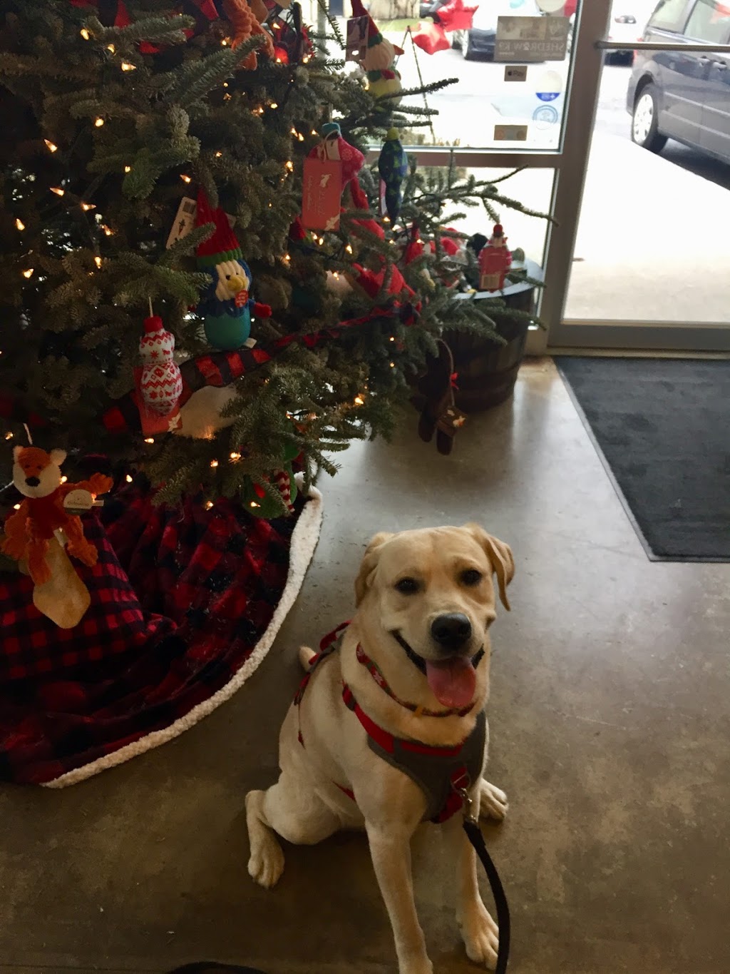 Bark & Fitz Dog & Cat | 2500 Appleby Line, Burlington, ON L7L 0A2, Canada | Phone: (905) 335-7036