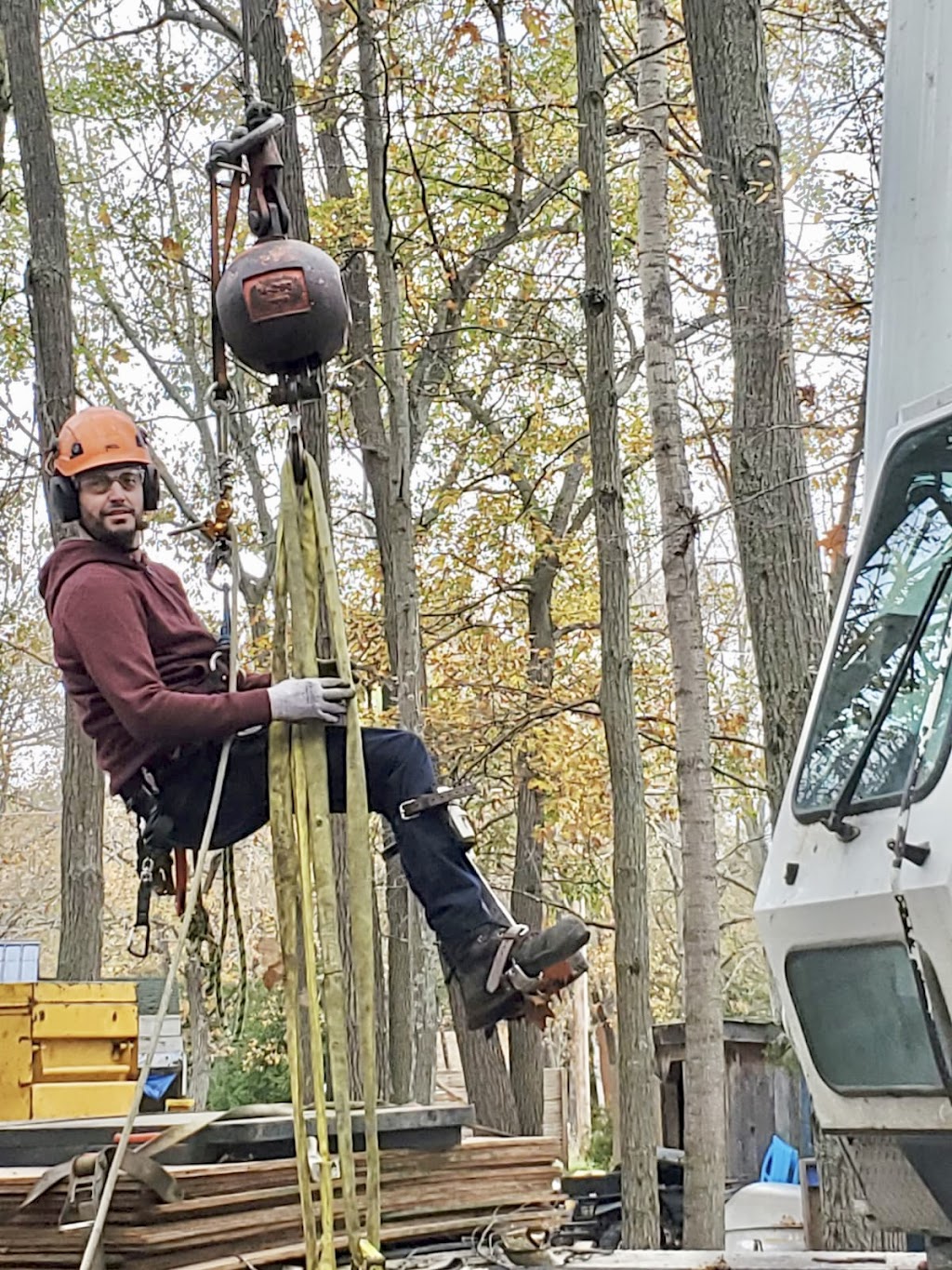 Smiths Falls Elite Tree Services | 138 Queen St, Smiths Falls, ON K7A 3N6, Canada | Phone: (613) 301-9095