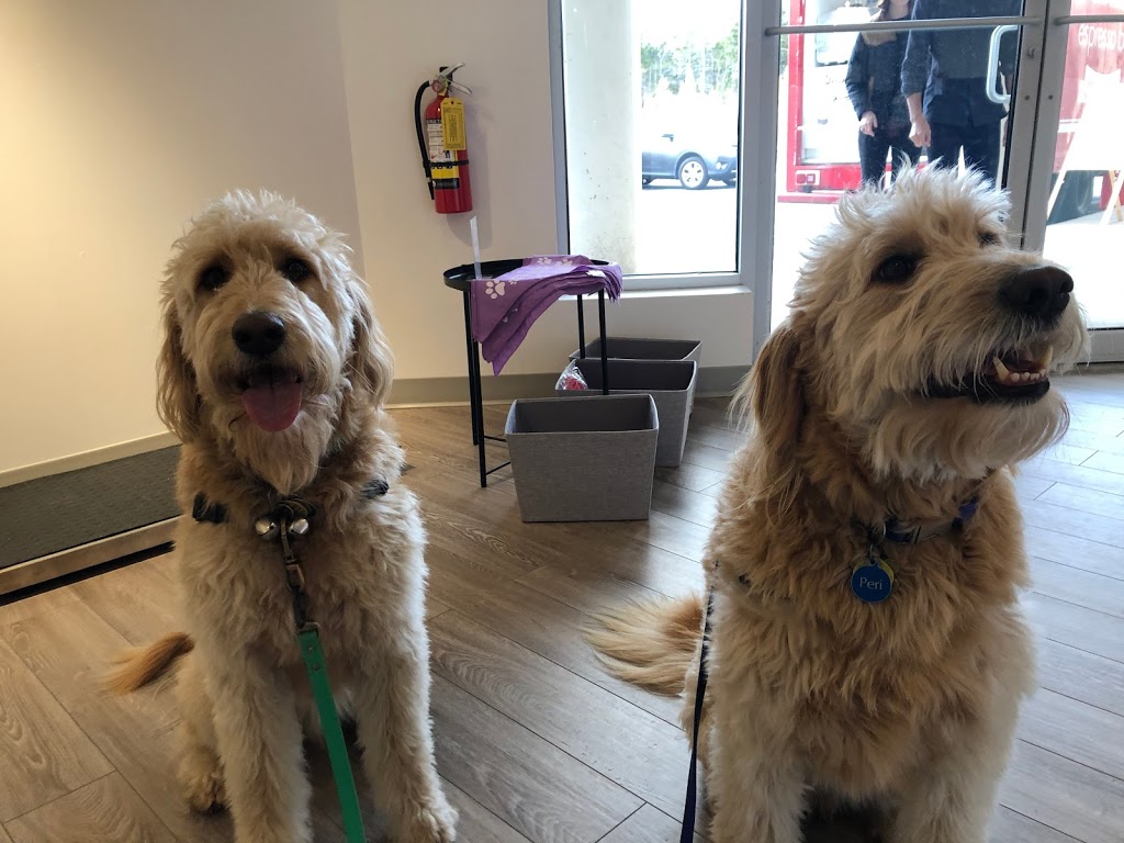 Hammonds Plains Veterinary Hospital | 2069 Hammonds Plains Rd Unit 3, Hammonds Plains, NS B4B 1P3, Canada | Phone: (902) 444-4784