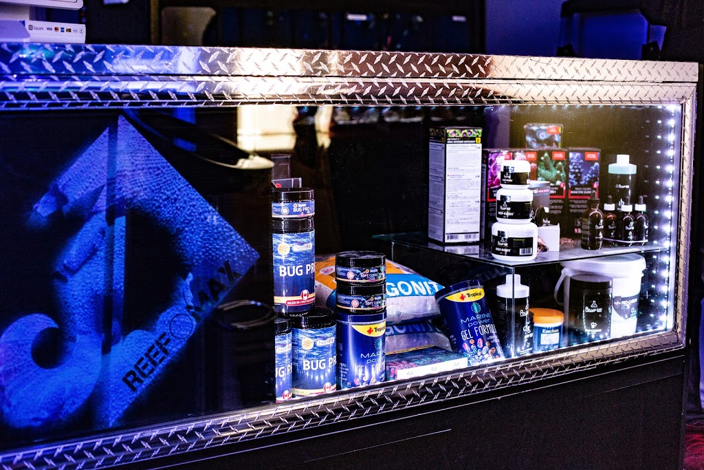 Aquarium Récifal Reef O Max | 1132A Rue Notre-Dame, Lavaltrie, QC J5T 1M2, Canada | Phone: (514) 400-1577