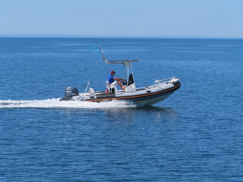 King Bay Marina | 1435 Ogemawahj Rd, MacTier, ON P0C 1H0, Canada | Phone: (705) 375-2464