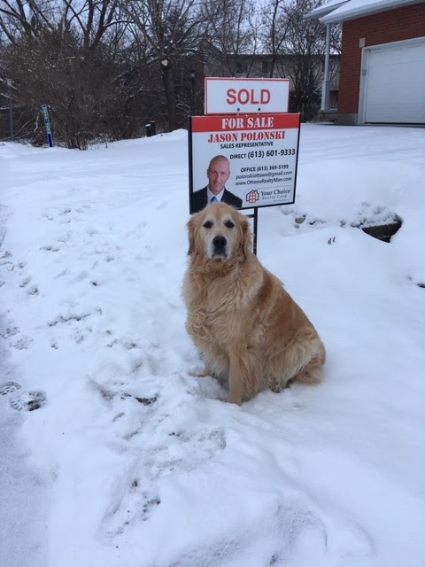 Jason Polonski- Realtor in Kanata, Ottawa | 19 Durbin Ct, Kanata, ON K2L 3T7, Canada | Phone: (613) 601-9333