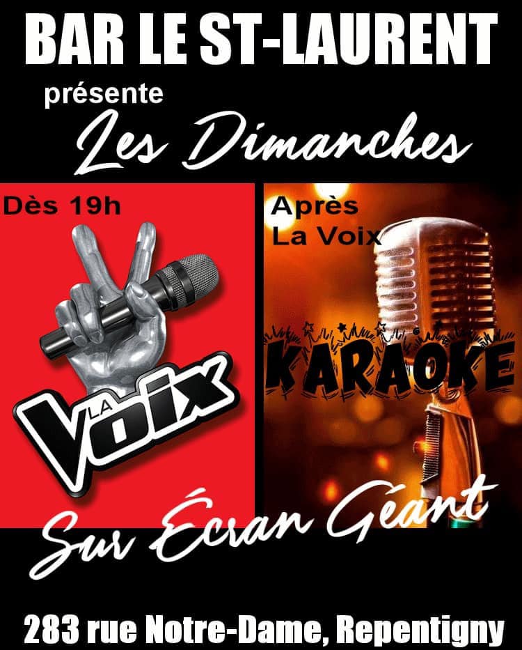 Le Saint-Laurent Bar Karaoke | 283 Rue Notre-Dame, Repentigny, QC J6A 2R8, Canada | Phone: (450) 581-5651