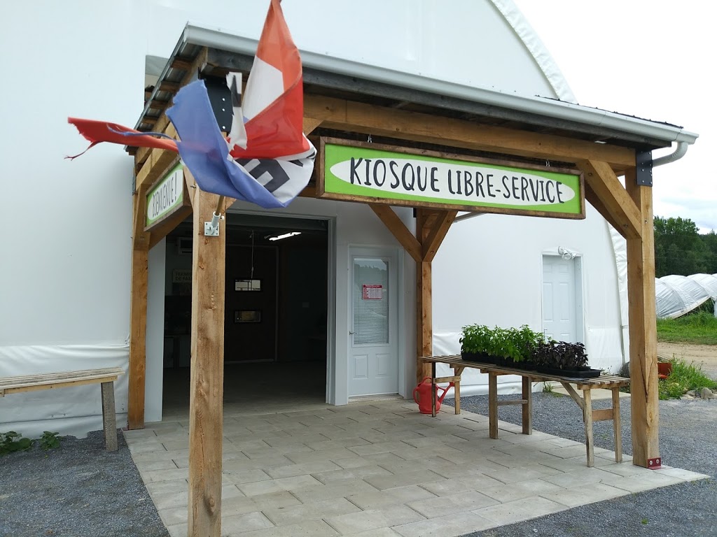 Coop - Pied de Céleri | 255 Rue Bruce, Dunham, QC J0E 1M0, Canada | Phone: (450) 775-8036
