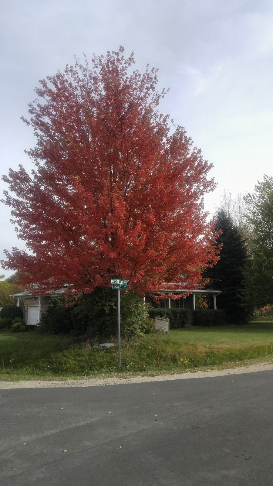 Tonys Chalets | 102 Lisas Ln, The Blue Mountains, ON L9Y 0L4, Canada | Phone: (705) 445-1721