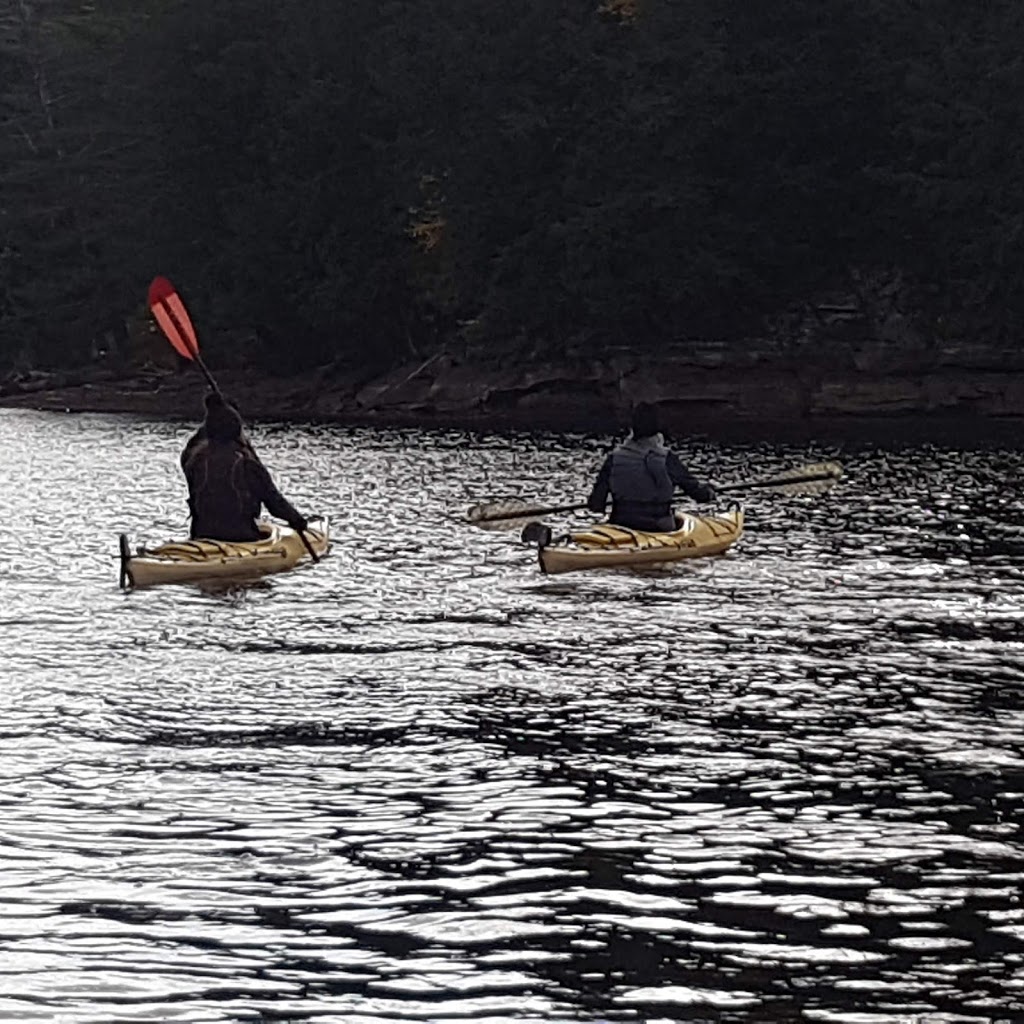 Pleasant View Cottage | 1137 Jones Rd, Algonquin Highlands, ON K0M 1J1, Canada | Phone: (416) 684-3317