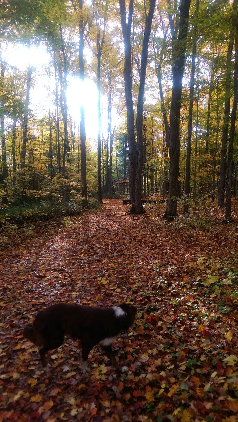 Bruces Mill Conservation Park | 3291 Stouffville Rd, Whitchurch-Stouffville, ON L4A 7X5, Canada | Phone: (905) 887-5531