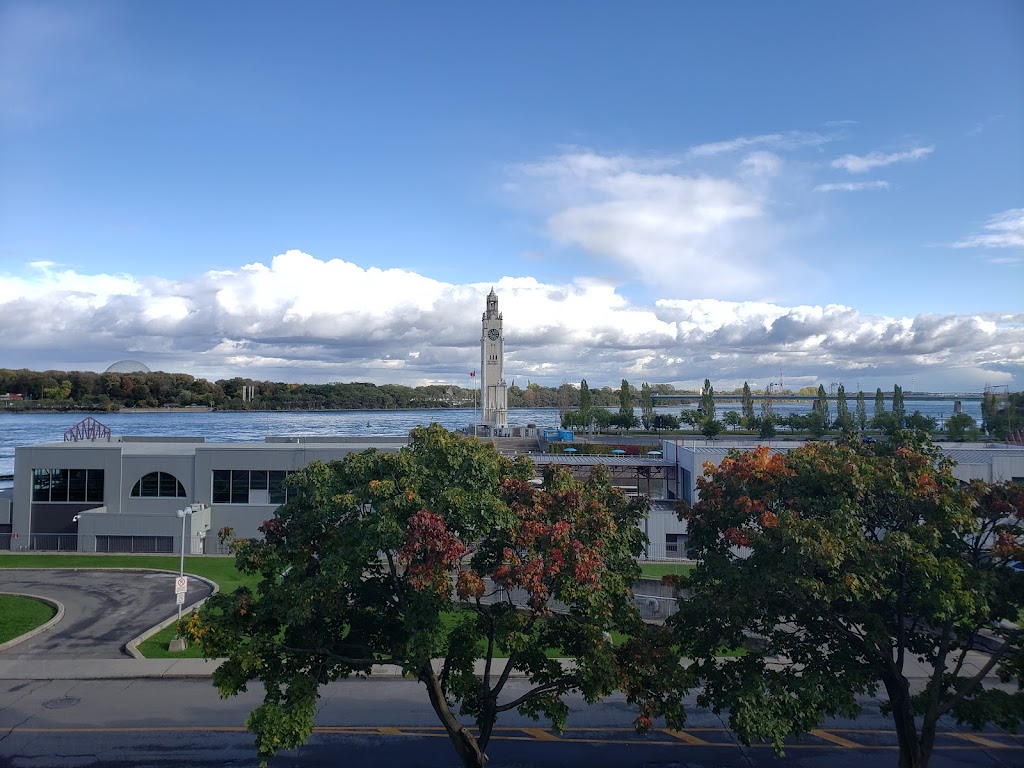 Belvédère du Chemin-Qui-Marche | 1000 Rue de la Commune E, Montréal, QC H2L 0B9, Canada | Phone: (514) 872-0311