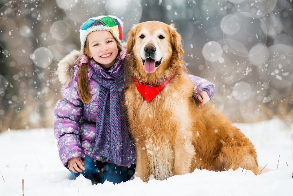 Veterinary Hospital Laviolette | 6045 Rue Corbeil, Trois-Rivières, QC G8Z 4S6, Canada | Phone: (819) 373-1196