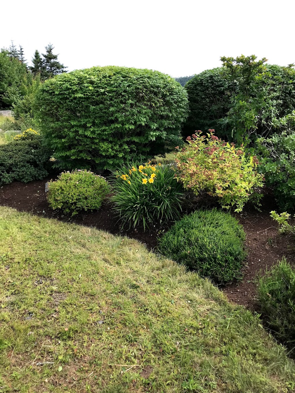 Caledonian Landscape Gardening & Consultancy | 94 Meadowbrook Dr, Bedford, NS B4A 1R3, Canada | Phone: (902) 405-0883