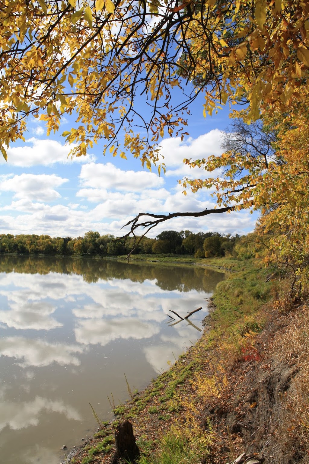 Chesters Park | 155 Freedman Crescent #131, Winnipeg, MB R3T 2N1, Canada