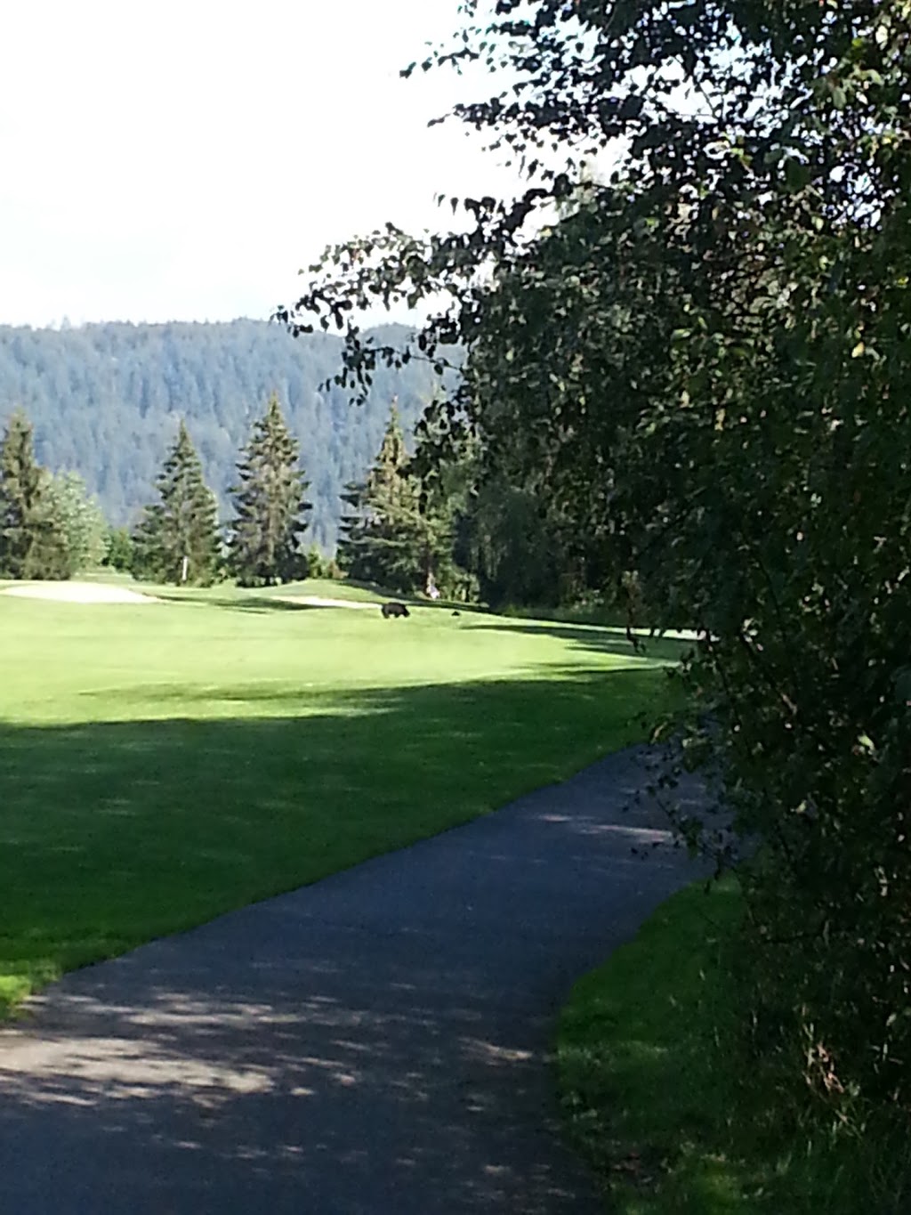 Greentree Village Community Centre | 4295 Garden Grove Dr, Burnaby, BC V5G 4G8, Canada | Phone: (604) 433-0252