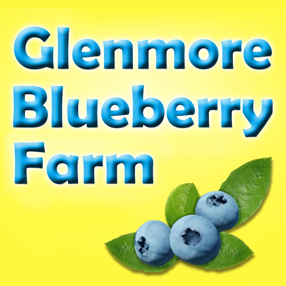 Glenmore Blueberry Farm | Closed until summer of 2021, 4096 Glenmore Rd, Abbotsford, BC V4X 1X5, Canada | Phone: (604) 852-4776