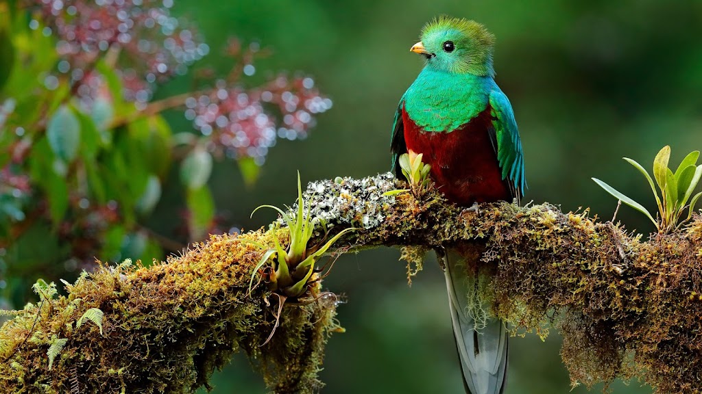 Eagle-Eye Tours | 4711 Galena St, Windermere, BC V0B 2L2, Canada | Phone: (250) 342-8640