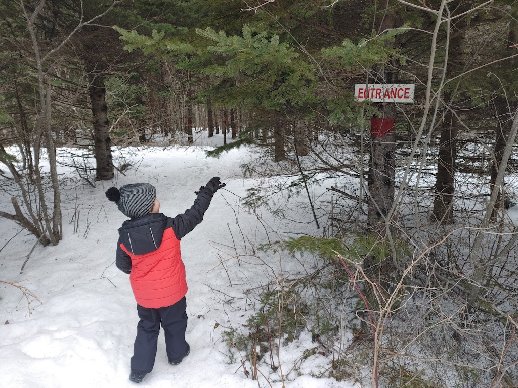 Beck Trail | PE-4, Murray River, PE C0A 1W0, Canada | Phone: (902) 620-0214