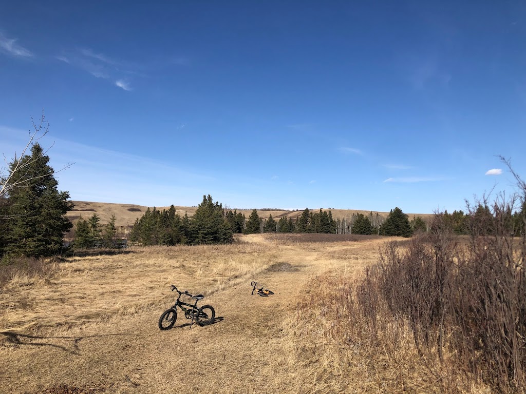 Big Knife Provincial Park | AB-855, Forestburg, AB T0B 1N0, Canada | Phone: (403) 742-7516