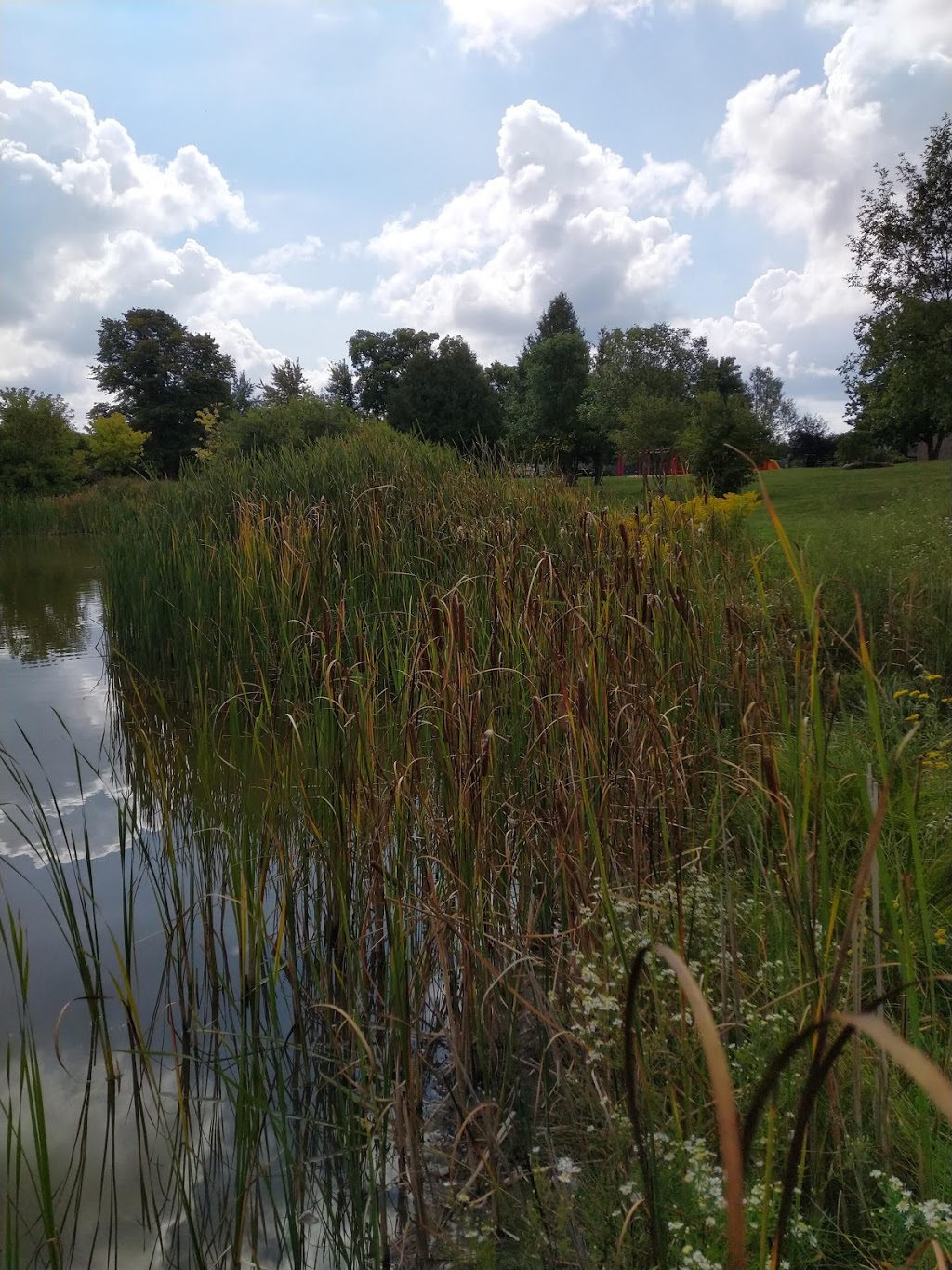 Broad Street Park | 9 Broad St, Lindsay, ON K9V 2Z7, Canada