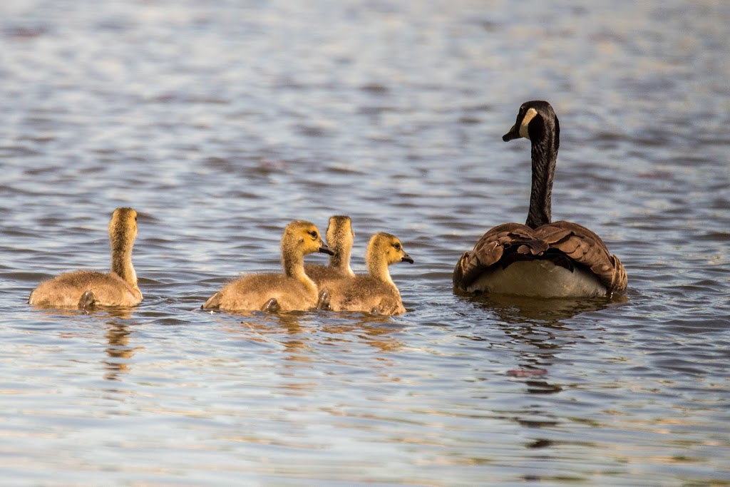 Nathan Masters Photography | East Garafraxa, ON L0N 1G0, Canada | Phone: (226) 203-3840
