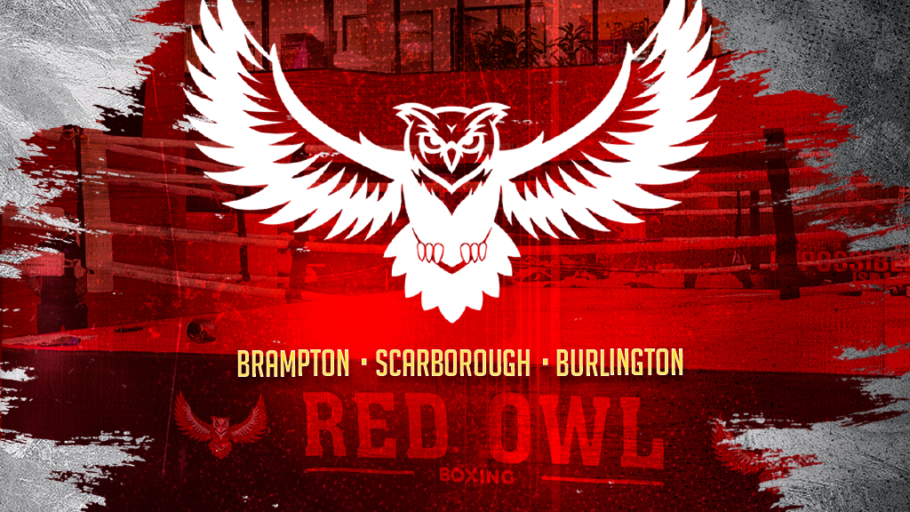 Red Owl Boxing | gym | 952 Century Dr, Burlington, ON L7L 5P2, Canada | 8776780367 OR +1 877-678-0367