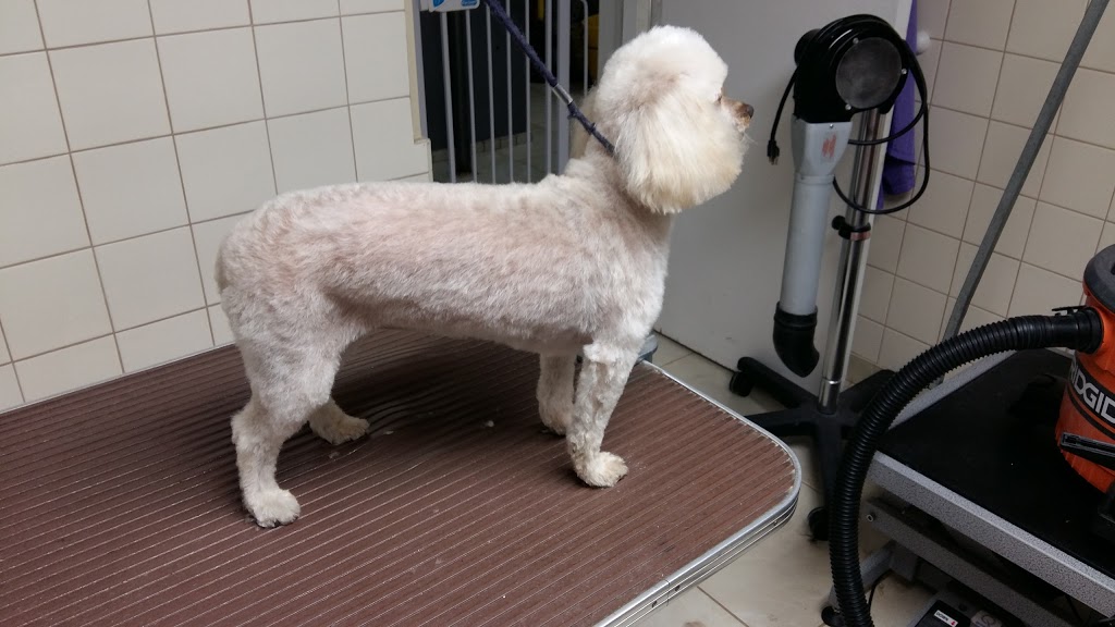 Sheridan Veterinary Services | 1398 Kingston Rd, Pickering, ON L1V 1B9, Canada | Phone: (905) 839-7061