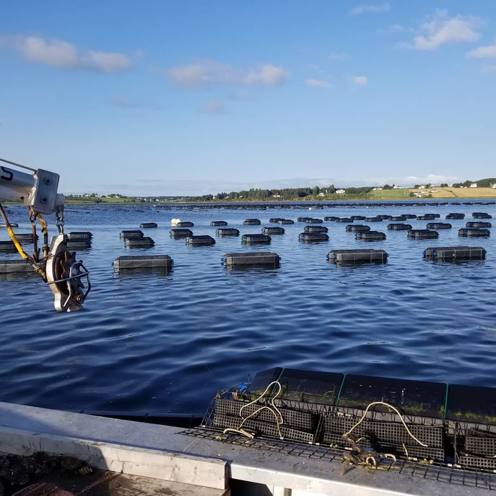 Oyster Cage Commander | 17269 milton, Milton Station, PE C1E 0V9, Canada | Phone: (902) 314-9096