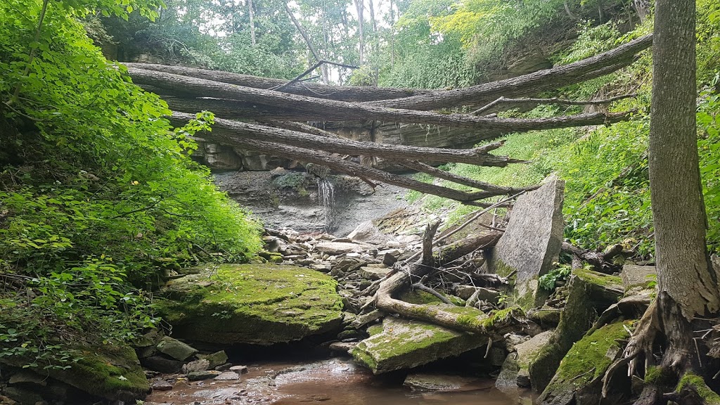 Webwood Falls Nature Reserve | Sideroad 25, Kimberley, ON N0C 1G0, Canada | Phone: (877) 733-4739