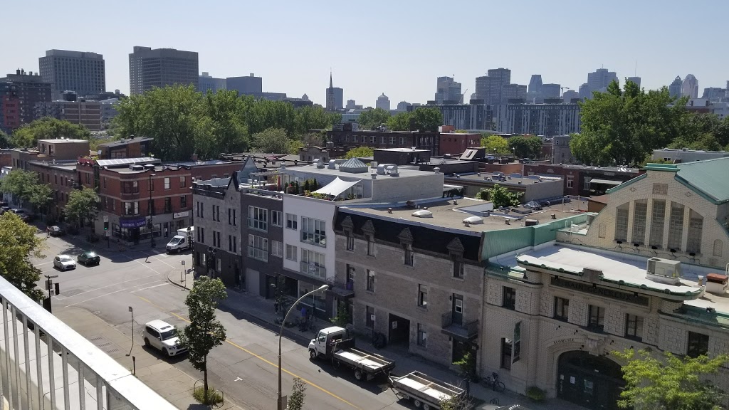 Éconofitness | 1125 Rue Ontario E #201, Montréal, QC H2L 1R2, Canada | Phone: (514) 370-5167