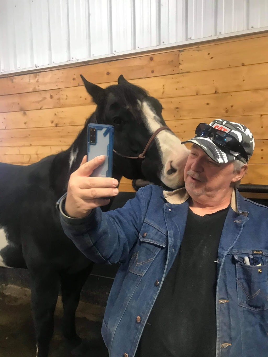 Coulee Equine Conditioning & Rehabilitation | Township Rd 334, Mountain View County, AB T0M 0K0, Canada | Phone: (403) 896-2077