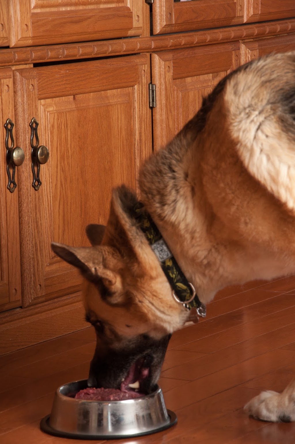 Fido & Felix Foods | Call for directions or arrange delivery, Craven, SK S0G 0W0, Canada | Phone: (306) 536-9757