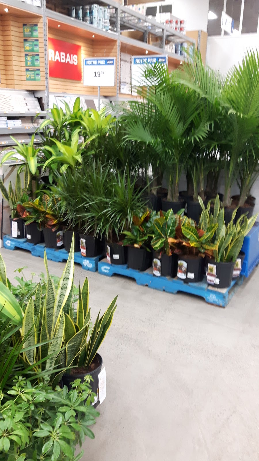 RONA | 891 7e Avenue, Grand-Mère, QC G9T 2B9, Canada | Phone: (819) 538-3381