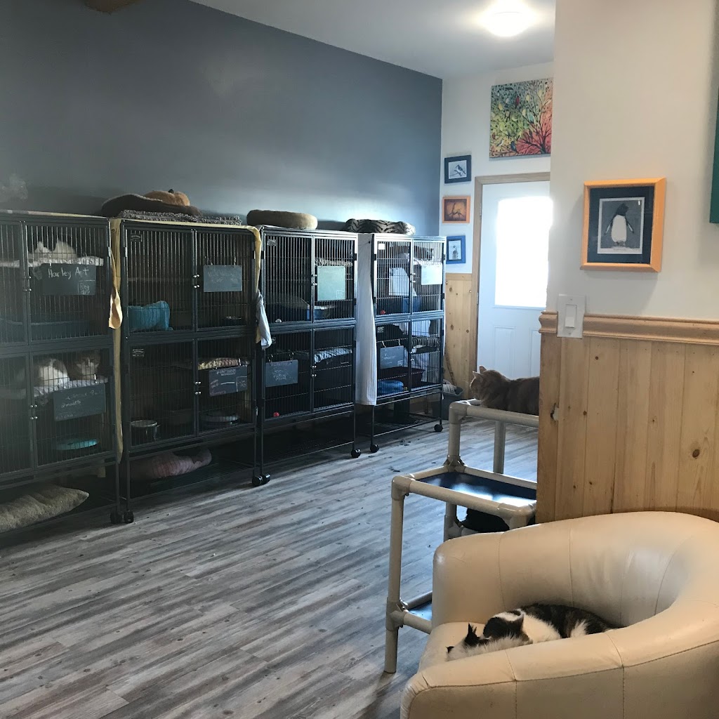 Heaven Can Wait Animal Rescue Foundation | 56249 562 Ave E, Cayley, AB T0L 0P0, Canada | Phone: (403) 601-2520