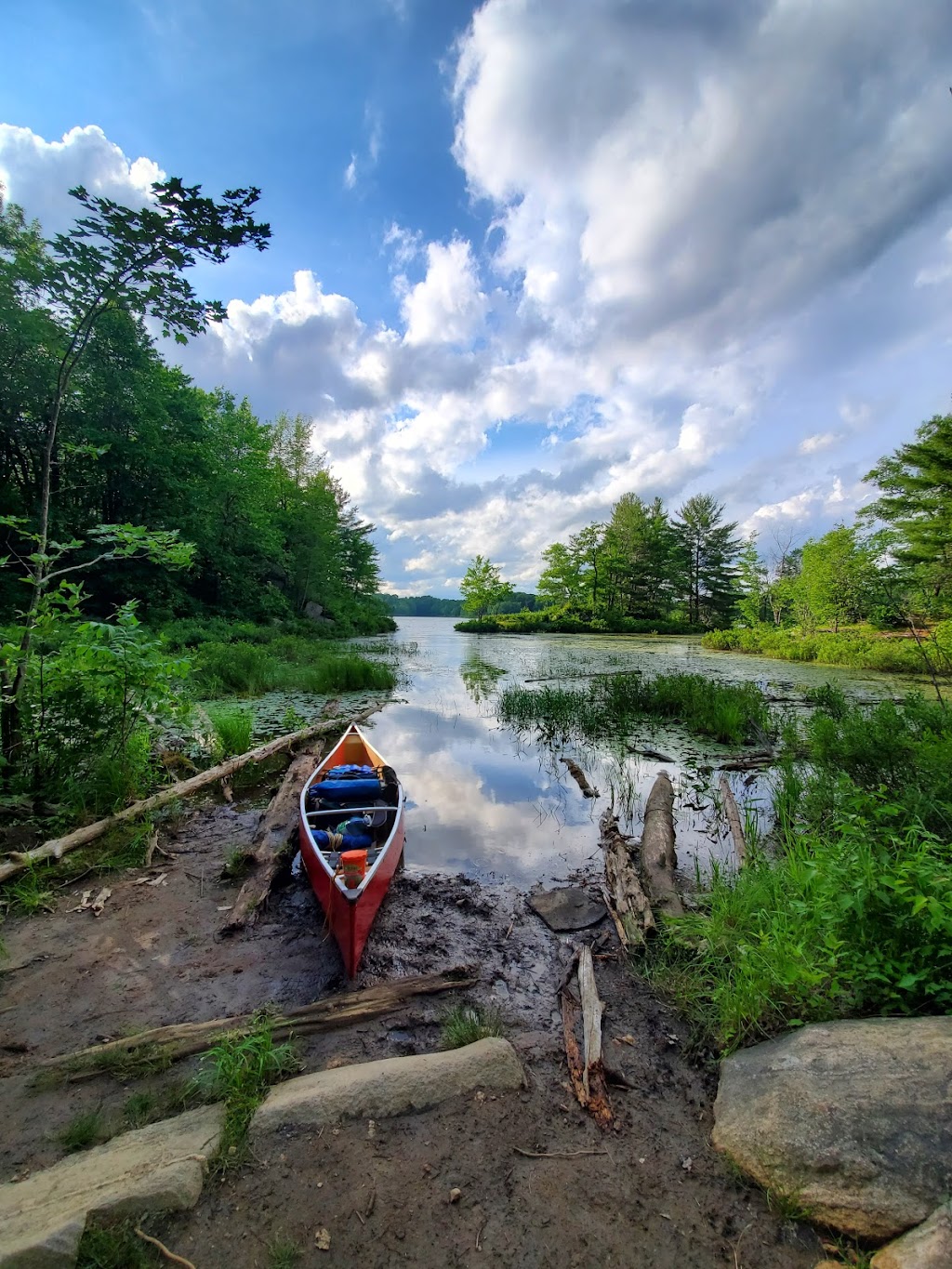 Little Turtle Lake | Coon Lake Rd, Harcourt, ON K0L 3E0, Canada | Phone: (613) 332-3940
