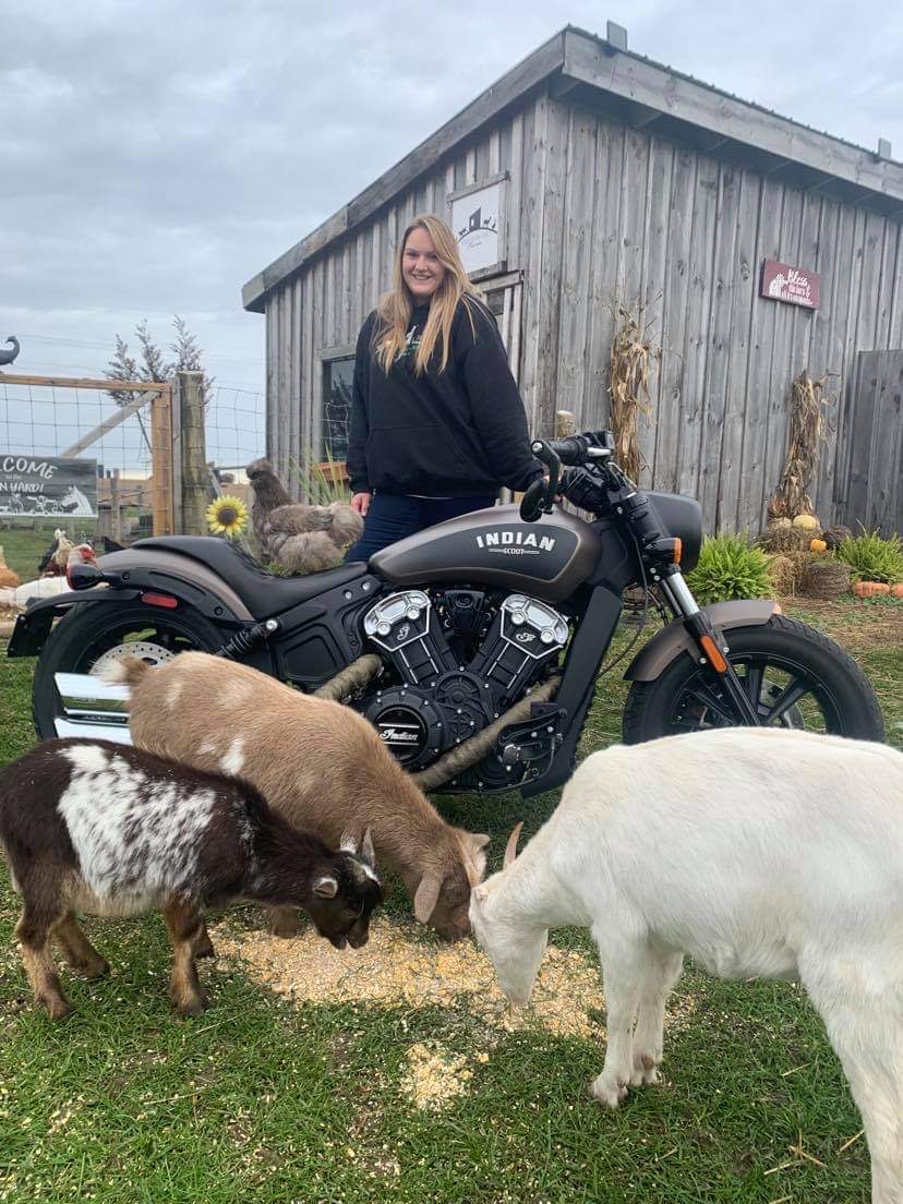 Little Hobby Hill Farm | 333624 Plank Line, Salford, ON N0J 1W0, Canada | Phone: (519) 532-0139