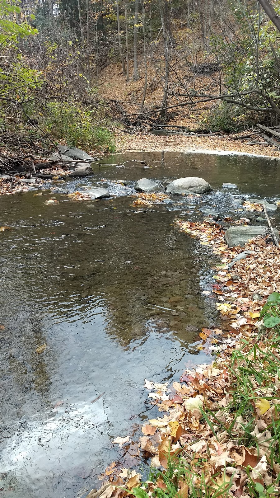 Maple Valley Park | 26 Prince Edward Blvd, Thornhill, ON L3T 7G2, Canada