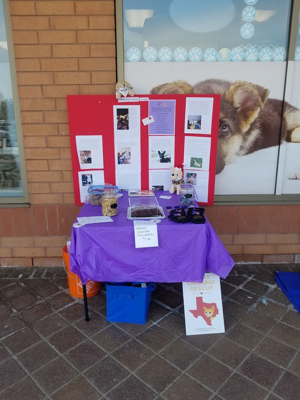 Pet Valu | 115 Hamilton St N, Waterdown, ON L0R 2H6, Canada | Phone: (905) 690-2933