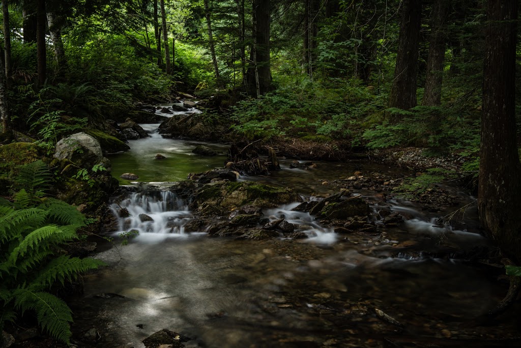 The Brew Creek Centre | 1 Brew Creek Rd, Whistler, BC V8E 0A7, Canada | Phone: (604) 932-7210