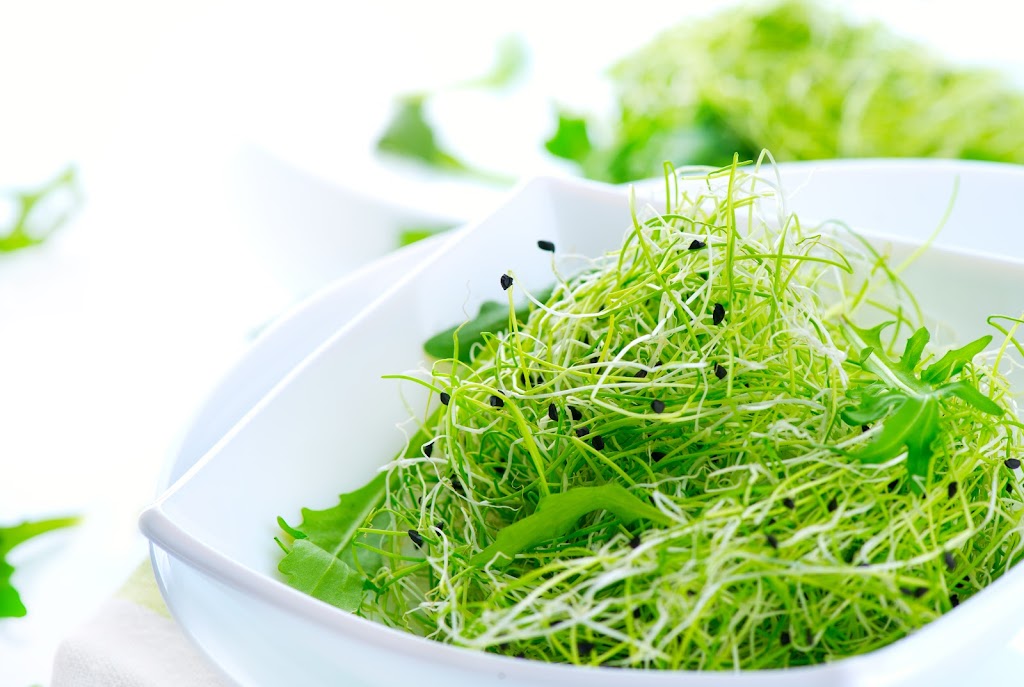 A&S Microgreens | 4144 St Catherines Dr #1, Cobble Hill, BC V0R 1L3, Canada | Phone: (250) 710-6135