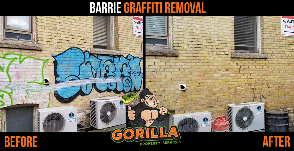 Gorilla Property Services | 65 Cedar Pointe Dr Ste 247, Barrie, ON L4N 9R3, Canada | Phone: (705) 805-0244