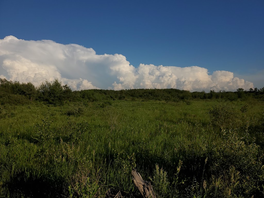 Sunset Oaks Family RV Park | 28098 Rd 9N, Roseau River, MB R0A 1P0, Canada | Phone: (204) 427-3272