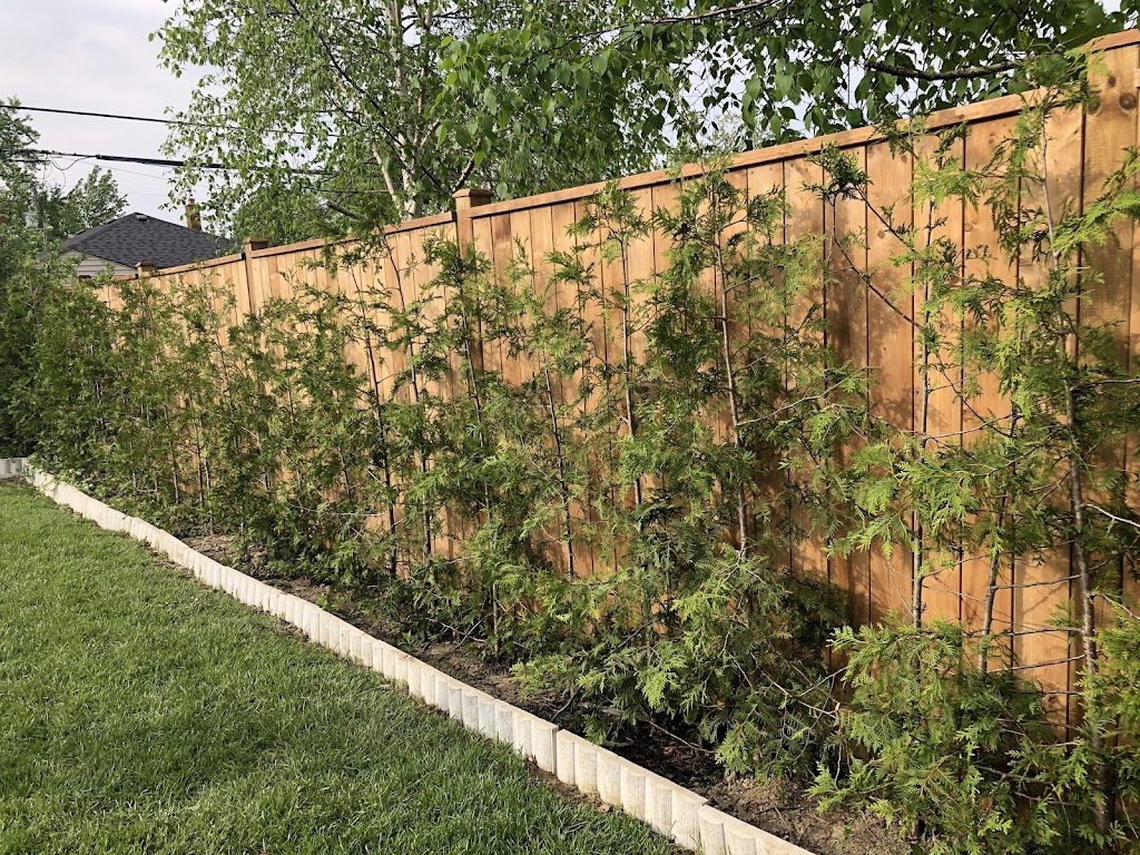 Sunroofing & Remodelling | 175 Shaughnessy Blvd, North York, ON M2J 1K1, Woodbridge On, 8250 Islington Ave, Toronto, ON L4L 1W8, Canada | Phone: (416) 824-6541