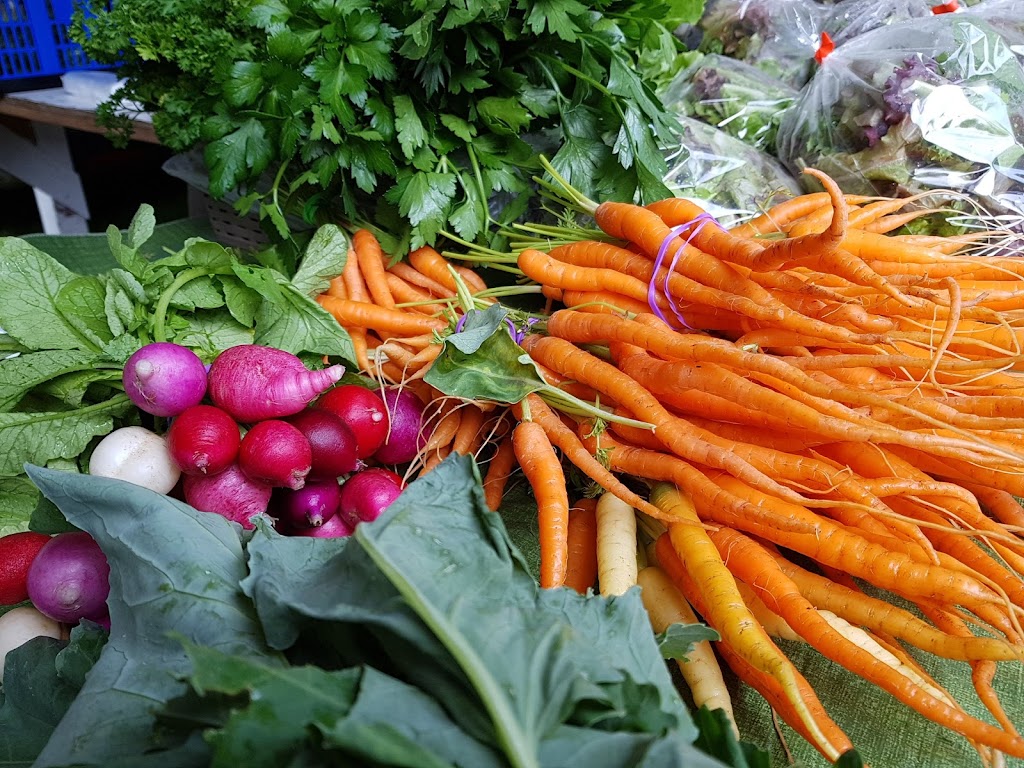 DC Harvest | 2782 Wilcox Rd, Powell River, BC V8A 0P3, Canada | Phone: (604) 414-8780