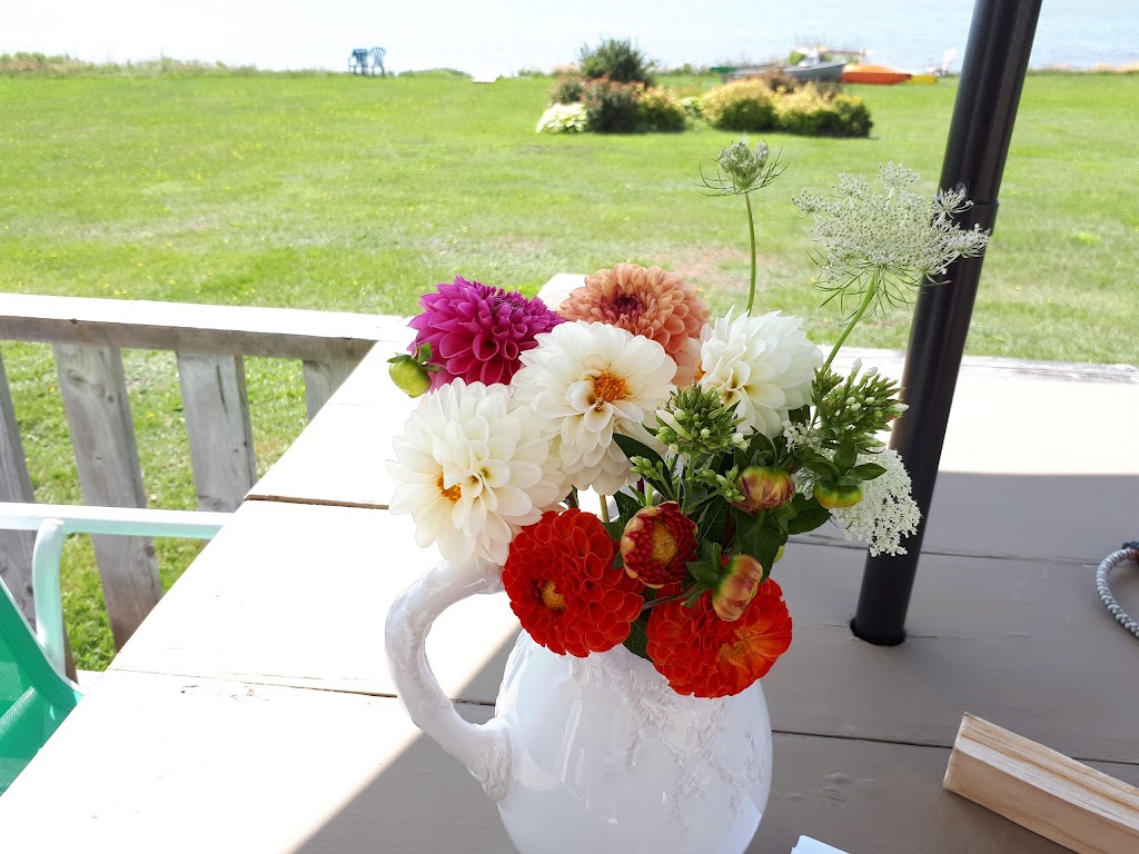 Ocean-Side Cottages | Ocean Side Ln, Point Prim, PE C0A 1A0, Canada | Phone: (902) 659-2284