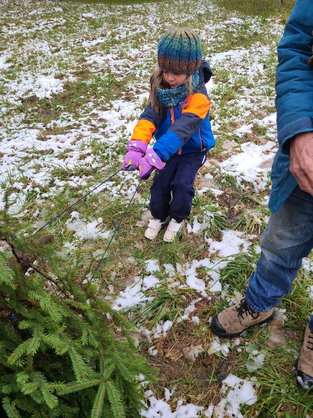 Mainland Christmas Tree Farm | 278846 Orchard Dr, Owen Sound, ON N4K 0G3, Canada | Phone: (519) 376-8888