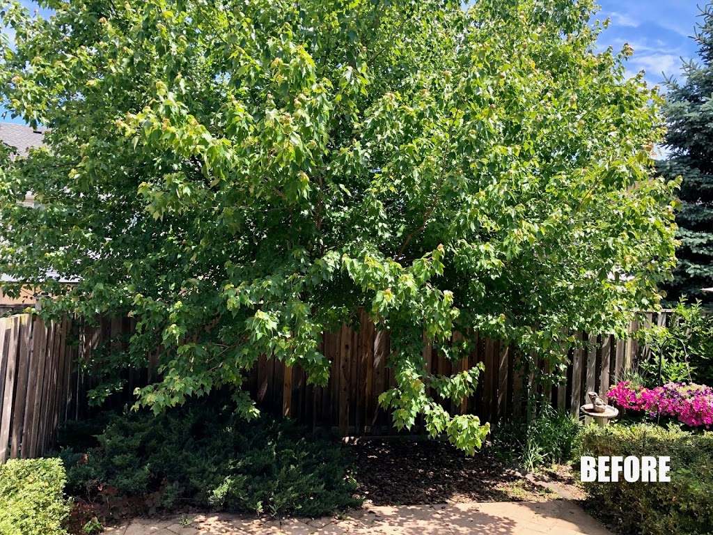 Amir Tree Services Inc. | 17 Baker Rd S, Grimsby, ON L3M 2W4, Canada | Phone: (647) 780-5234