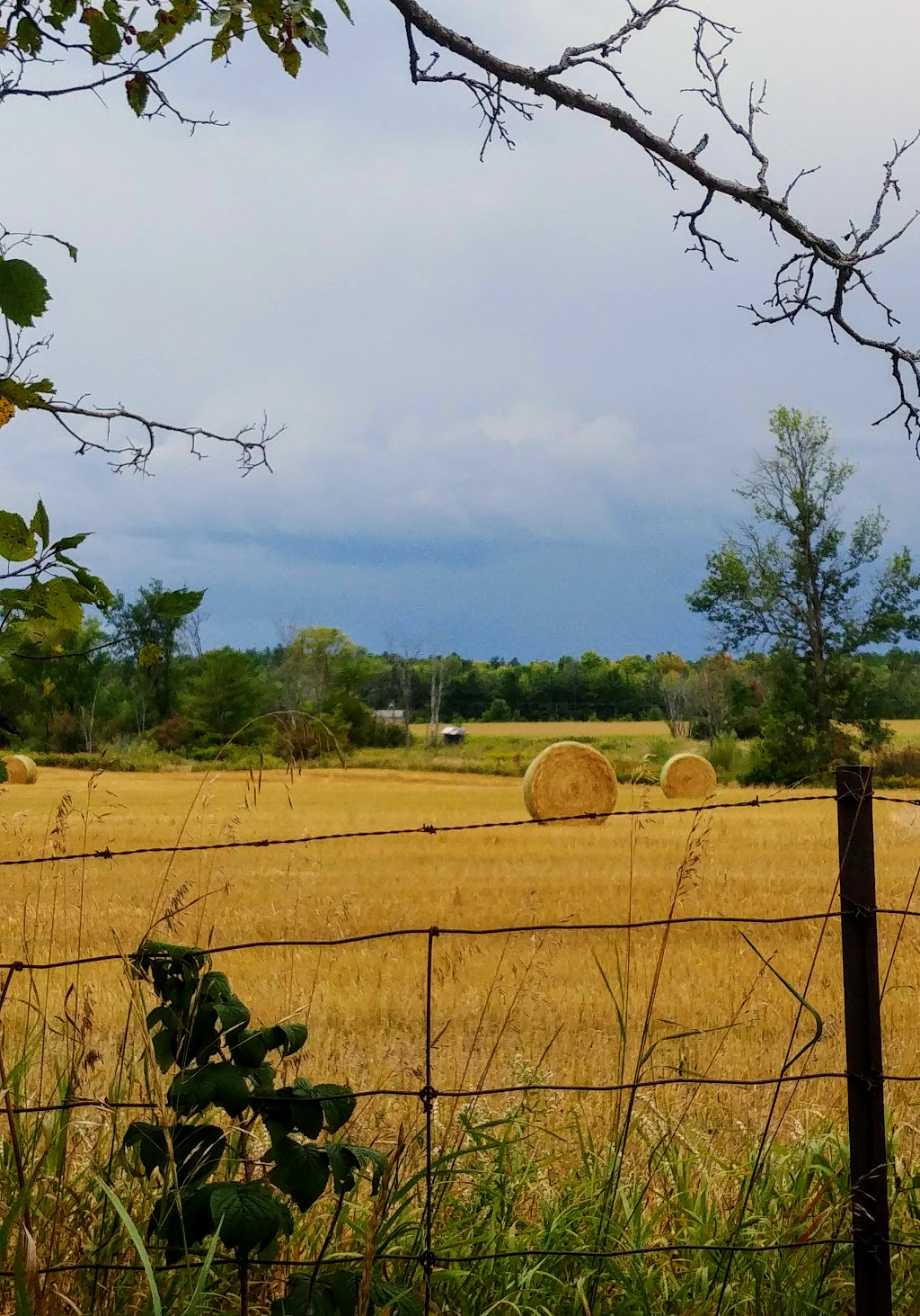 Mountain Creek Golf Course | Mountain View Rd, Arnprior, ON K7S 3G9, Canada | Phone: (613) 623-8919