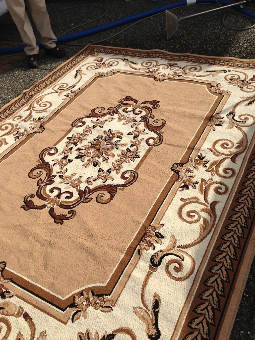 Kaler Carpet & Upholstery Cleaning | 34079 Clayburn Rd, Abbotsford, BC V2S 7T6, Canada | Phone: (604) 746-4747