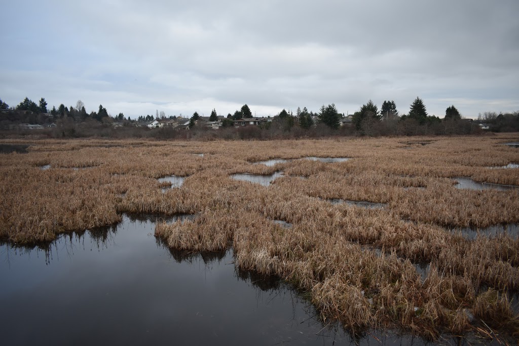 Buttertubs Marsh Park | 197 Bird Sanctuary Dr, Nanaimo, BC V9R 6G8, Canada | Phone: (250) 754-4251